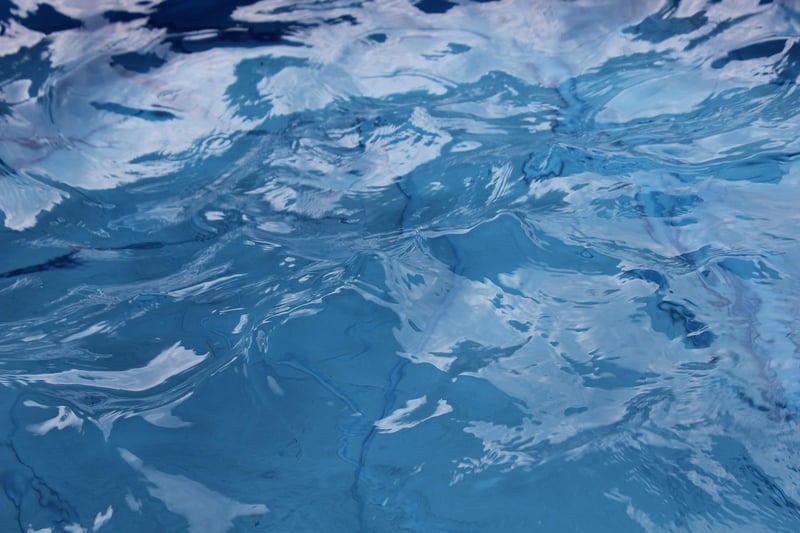 Mindful Swimming